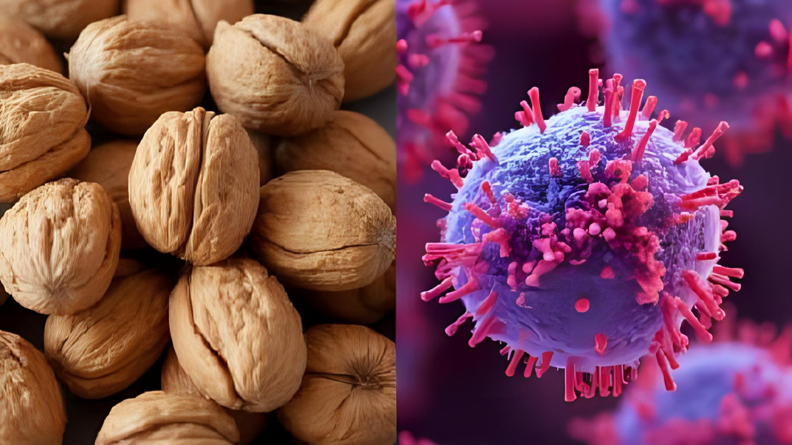 Can Walnuts Kill Cancer Cells Naturally? Landmark Study Reveals the Power of Daily Nutrition